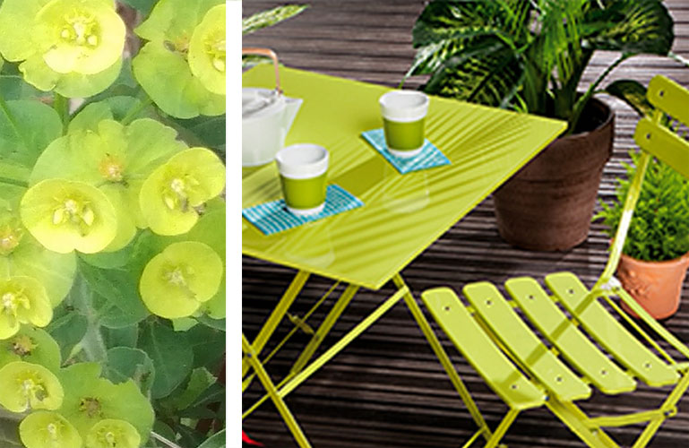 Plantes et table et chaise de jardin vert anis